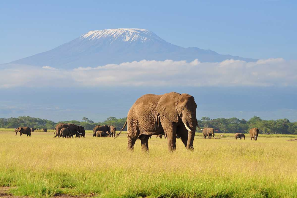 15 Best Places to Visit in Kenya