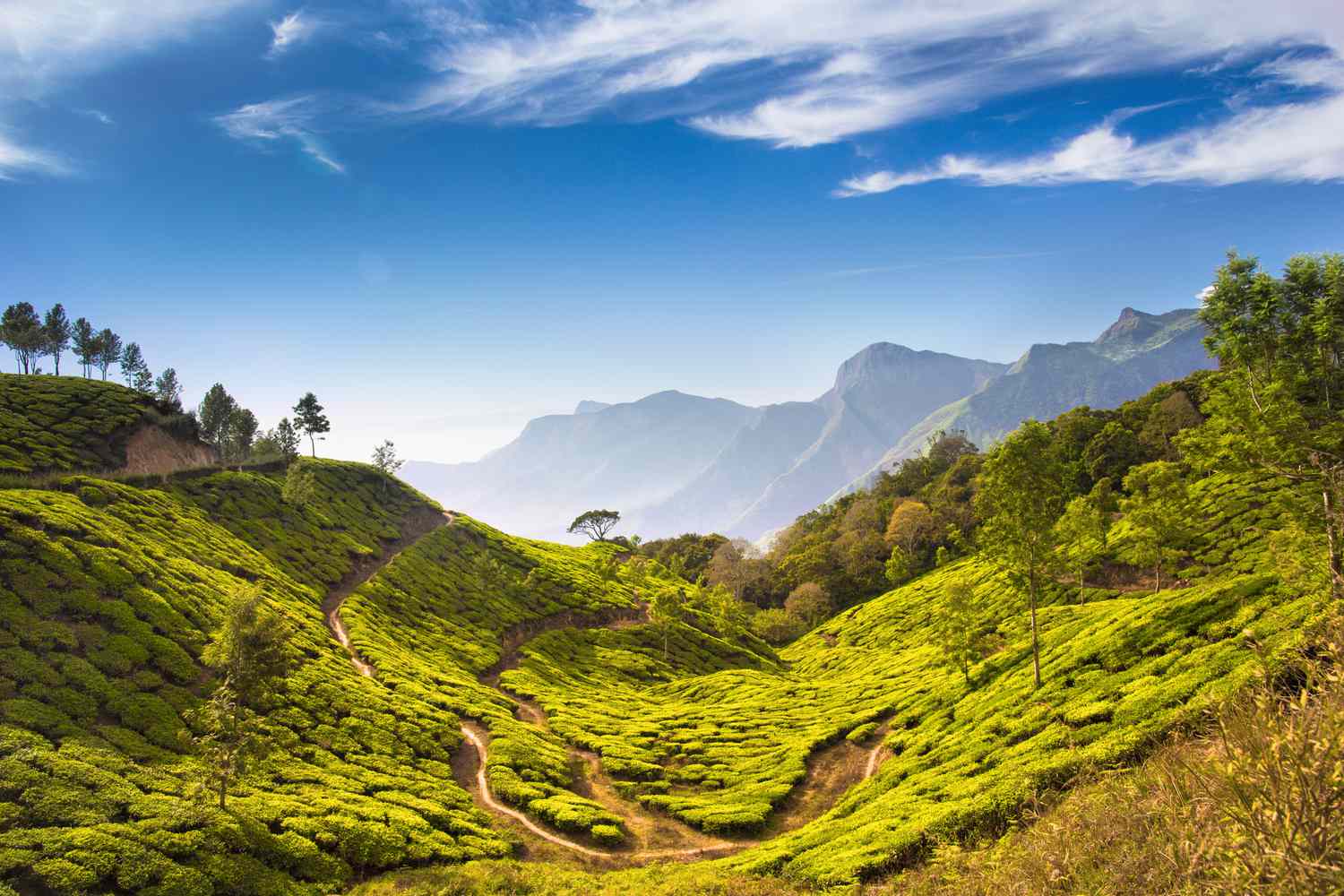 Explore Kerala, Experience Serenity